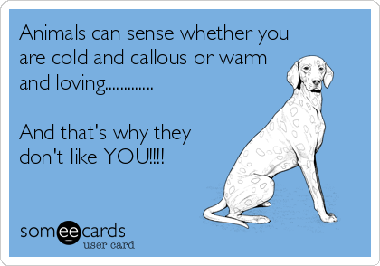 Animals can sense whether you
are cold and callous or warm
and loving.............

And that's why they
don't like YOU!!!!