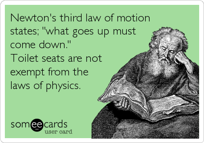 Newton's third law of motion
states; "what goes up must
come down."
Toilet seats are not
exempt from the
laws of physics.