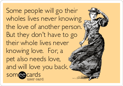 Some people will go their
wholes lives never knowing
the love of another person.
But they don't have to go
their whole lives never
knowing love.  For, a
pet also needs love,
and will love you back.