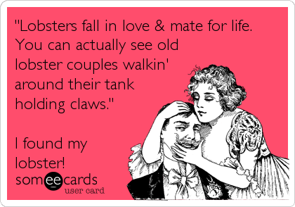 "Lobsters fall in love & mate for life.
You can actually see old
lobster couples walkin'
around their tank
holding claws."

I found my
lobster!