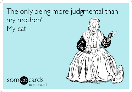 The only being more judgmental than
my mother?
My cat.