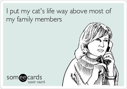I put my cat's life way above most of my family members Confession Ecard