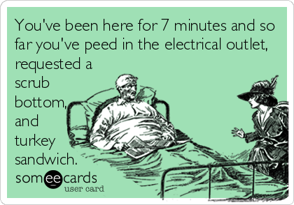 You've been here for 7 minutes and so
far you've peed in the electrical outlet,
requested a
scrub
bottom, 
and
turkey
sandwich.