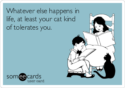 Whatever else happens in
life, at least your cat kind
of tolerates you.