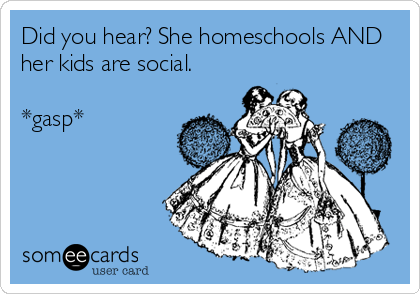 Did you hear? She homeschools AND
her kids are social. 

*gasp*
