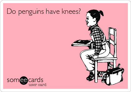 Do penguins have knees?