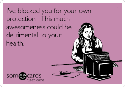 I've blocked you for your own
protection.  This much 
awesomeness could be 
detrimental to your
health.