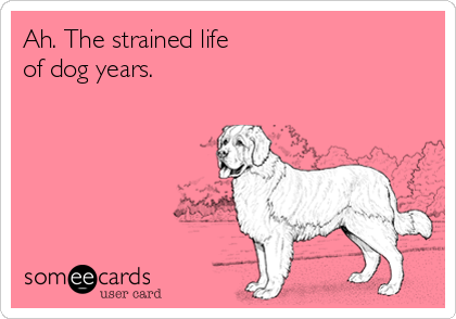 Ah. The strained life 
of dog years. 