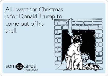 All I want for Christmas
is for Donald Trump to
come out of his
shell.