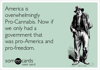 America is
overwhelmingly
Pro-Cannabis. Now if
we only had a
government that
was pro-America and
pro-freedom.