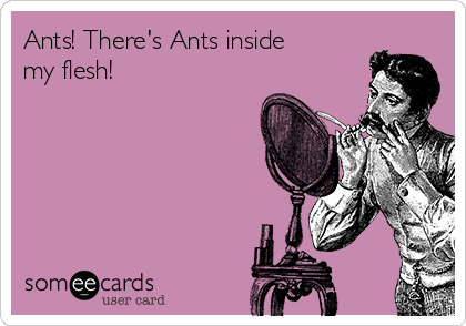 Ants! There's Ants inside
my flesh!