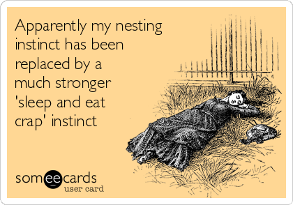 Apparently my nesting 
instinct has been
replaced by a
much stronger
'sleep and eat
crap' instinct