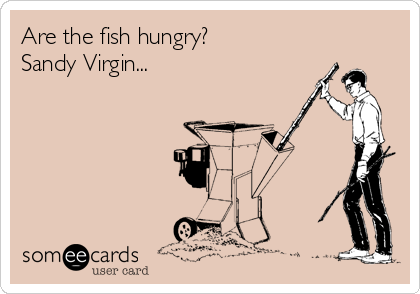 Are the fish hungry?
Sandy Virgin...
