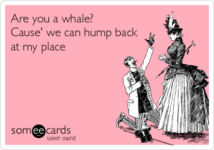 Are you a whale?
Cause' we can hump back
at my place