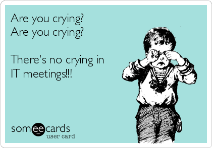 Are you crying?
Are you crying?

There's no crying in 
IT meetings!!!


