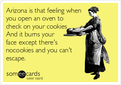 Arizona is that feeling when
you open an oven to
check on your cookies
And it burns your 
face except there's
nocookies and you can't
escape. 