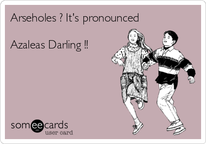 Arseholes ? It's pronounced

Azaleas Darling !!