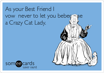 As your Best Friend I
vow  never to let you bebecome
a Crazy Cat Lady.