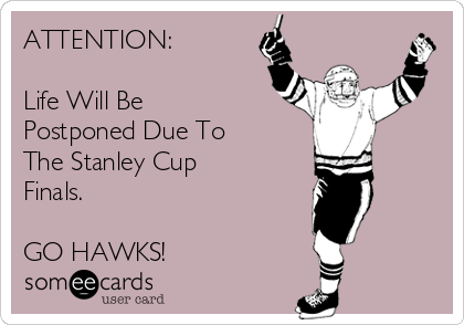 ATTENTION:

Life Will Be
Postponed Due To 
The Stanley Cup
Finals.

GO HAWKS!