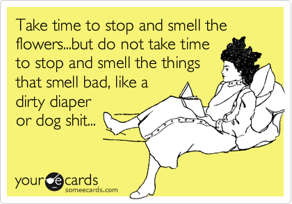 Take time to stop and smell the flowers...but do not take time
to stop and smell the things
that smell bad, like a
dirty diaper
or dog shit...