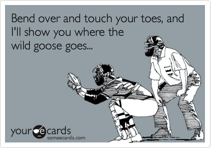 Bend over and touch your toes, and I'll show you where the
wild goose goes...