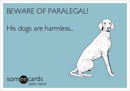 BEWARE OF PARALEGAL!

His dogs are harmless...