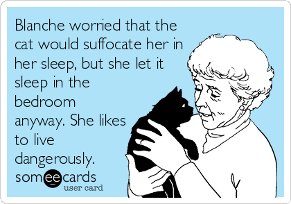 Blanche worried that the
cat would suffocate her in
her sleep, but she let it
sleep in the
bedroom
anyway. She likes
to live
dangerously.