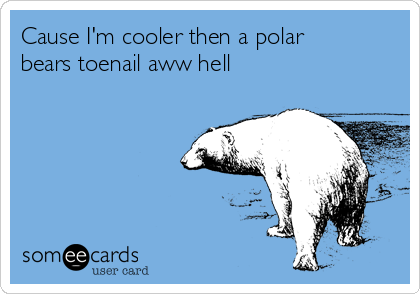 Cause I'm cooler then a polar
bears toenail aww hell