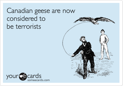 Canadian geese are now 
considered to 
be terrorists