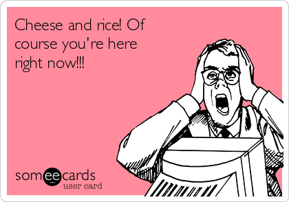 Cheese and rice! Of
course you're here
right now!!!