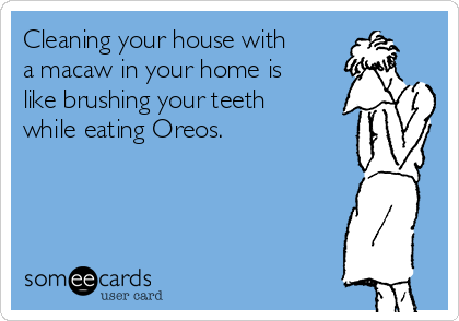 Cleaning your house with
a macaw in your home is
like brushing your teeth
while eating Oreos.