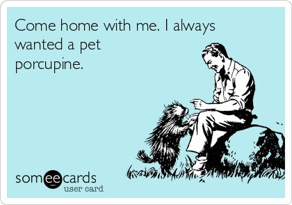 Come home with me. I always
wanted a pet
porcupine.