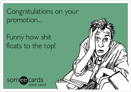 Congratulations on your
promotion...

Funny how shit
floats to the top! 