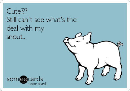 Cute???
Still can't see what's the
deal with my
snout...