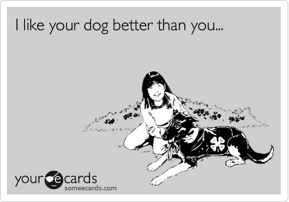 I like your dog better than you...