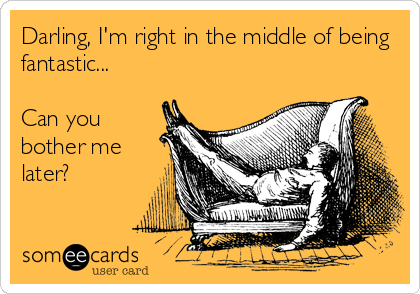 Darling, I'm right in the middle of being
fantastic...

Can you
bother me
later?