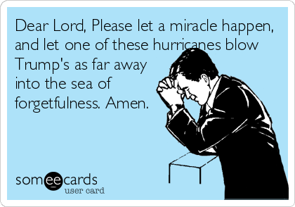 Dear Lord, Please let a miracle happen,
and let one of these hurricanes blow
Trump's as far away
into the sea of
forgetfulness. Amen.