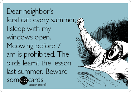 Dear neighbor's
feral cat: every summer,
I sleep with my
windows open.
Meowing before 7
am is prohibited. The
birds learnt the lesson
last summer. Beware