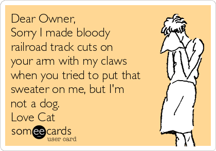 Dear Owner,
Sorry I made bloody
railroad track cuts on
your arm with my claws
when you tried to put that
sweater on me, but I'm
not a dog.
Love Cat 