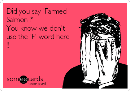Did you say 'Farmed
Salmon ?'
You know we don't
use the 'F' word here
!! 