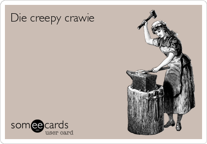 Die creepy crawie