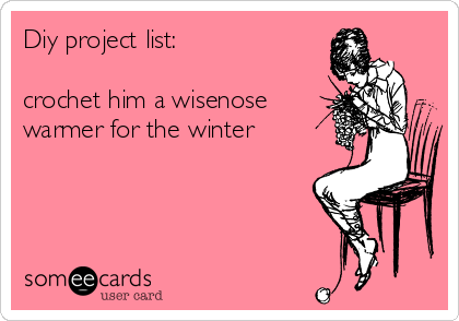 Diy project list:

crochet him a wisenose
warmer for the winter