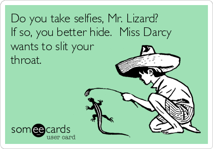 Do you take selfies, Mr. Lizard?
If so, you better hide.  Miss Darcy
wants to slit your
throat.