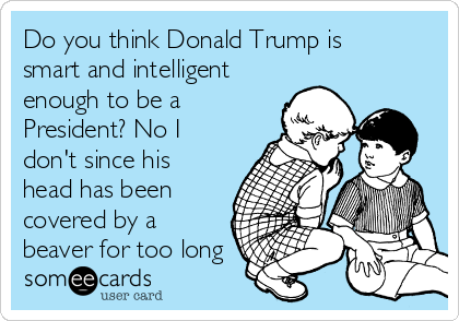 Do you think Donald Trump is
smart and intelligent
enough to be a
President? No I
don't since his
head has been
covered by a
beaver for too long 