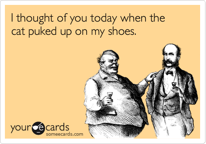 I thought of you today when the cat puked up on my shoes.