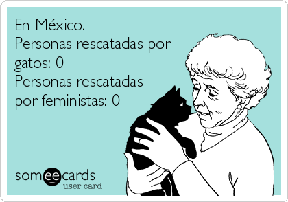 En México.
Personas rescatadas por
gatos: 0
Personas rescatadas
por feministas: 0