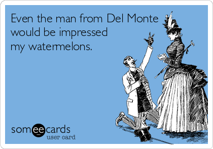 Even the man from Del Monte
would be impressed
my watermelons.