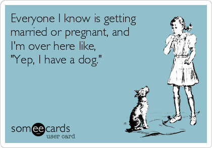 Everyone I know is getting
married or pregnant, and
I'm over here like, 
"Yep, I have a dog."