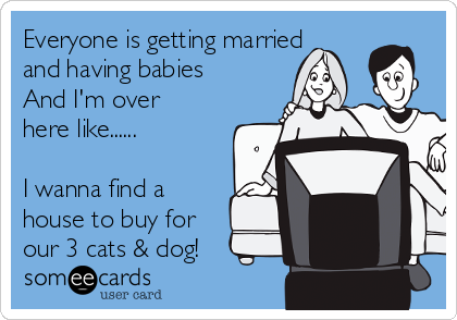 Everyone is getting married
and having babies 
And I'm over
here like......

I wanna find a
house to buy for
our 3 cats & dog!