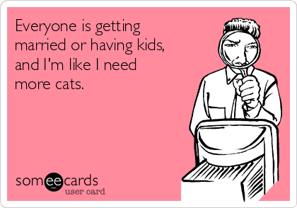 Everyone is getting
married or having kids,
and I'm like I need
more cats.